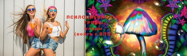 сатива Чердынь