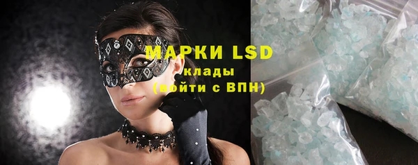 сатива Чердынь