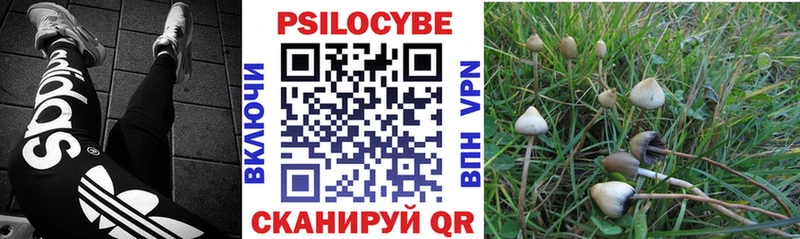 Псилоцибиновые грибы GOLDEN TEACHER Кочубеевское